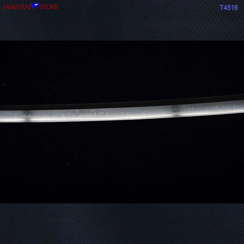 T4516 Antique Katana Sword NAGANOBU - NBTHK Hozon certificate Edo period